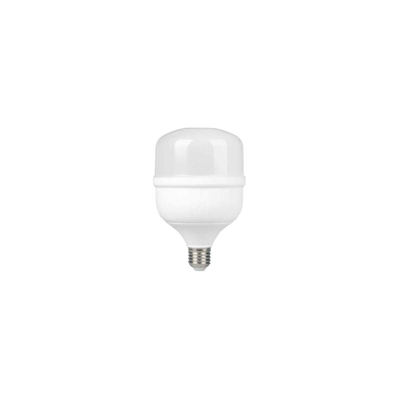Lampadina LED industriale Bikoro 42W E27 5000K