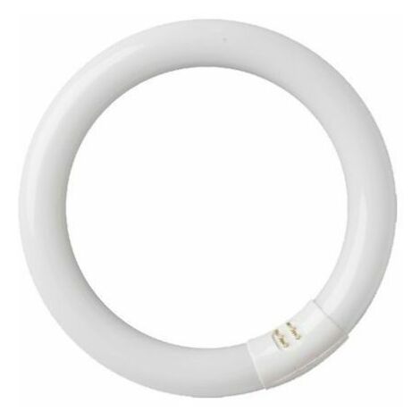 GSC – Tube fluorescent circulaire 22W T9 6400K – Éclairage froid – Performance optimale en lumens par watt – Réduction consommation énergie