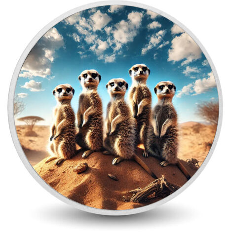 Guardianes del Desierto: Moneda de color del clan de los suricatos en guardia