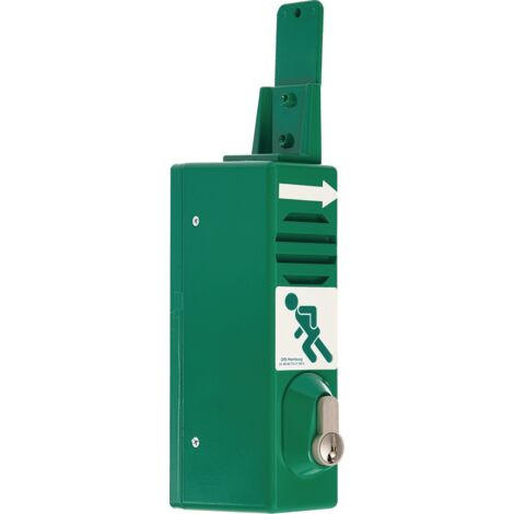 Guardiano finestra PRAXIS 2 Pictogrammi verdi con batteria 1
