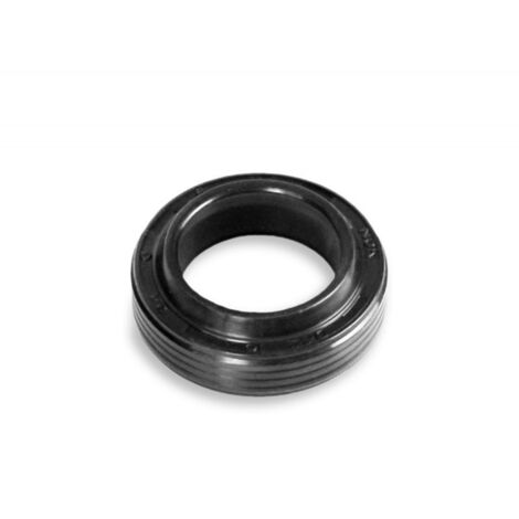 Guarnizione a labbro 166.8 per idropulitrice Karcher - 63653220