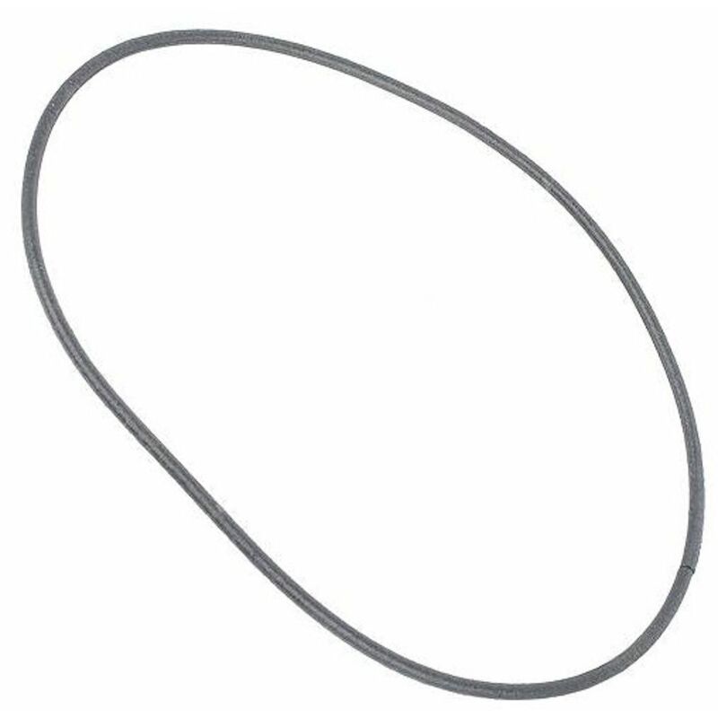 AEG - Guarnizione coperchio contenitore - Aspirapolvere 297603