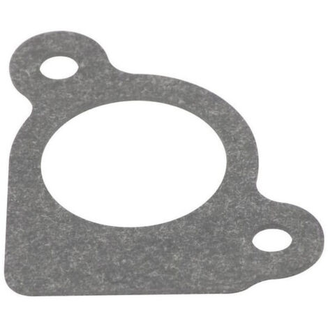 Guarnizione di aspirazione Briggs e Stratton - 794306
