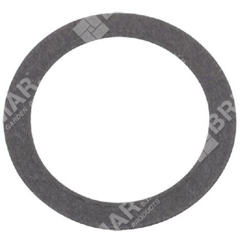 Guarnizione filtro aria per motori BRIGGS & STRATTON 271139S Compatibile - 047277