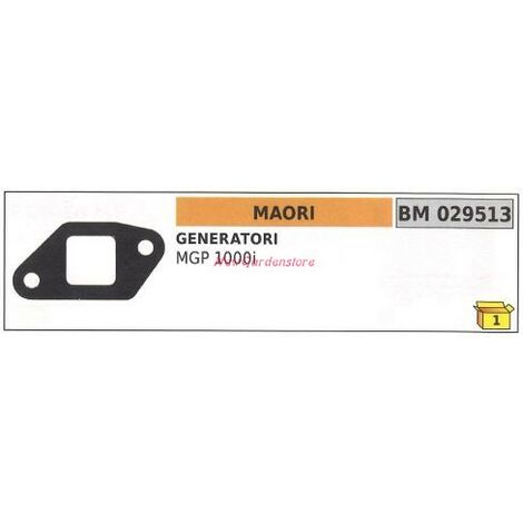 Guarnizione MAORI generatore MGP 1000i 029513