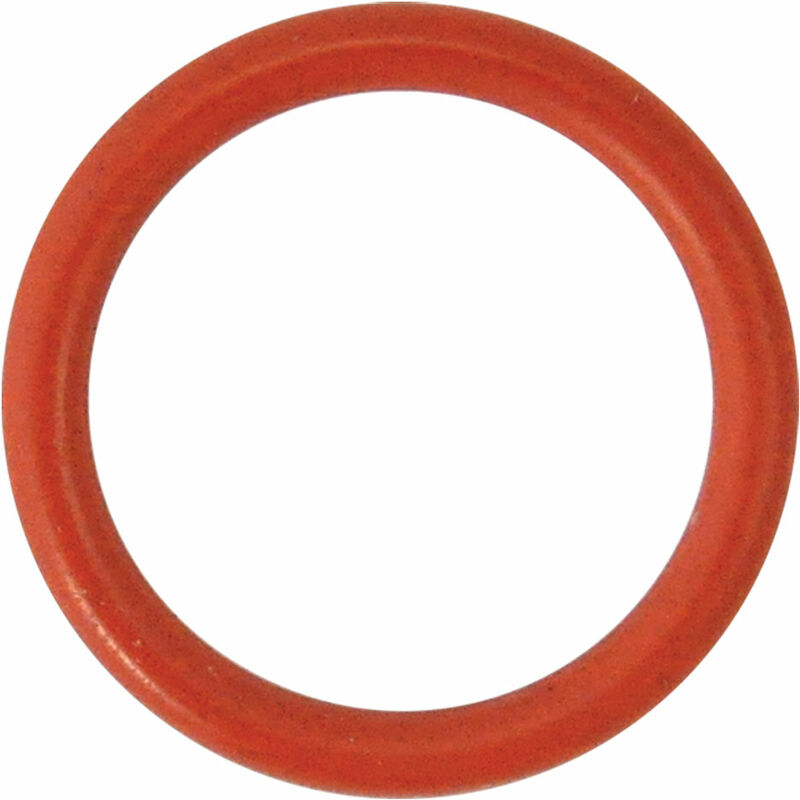Guarnizione o-ring per perno per n 3 - mm 18,72 x