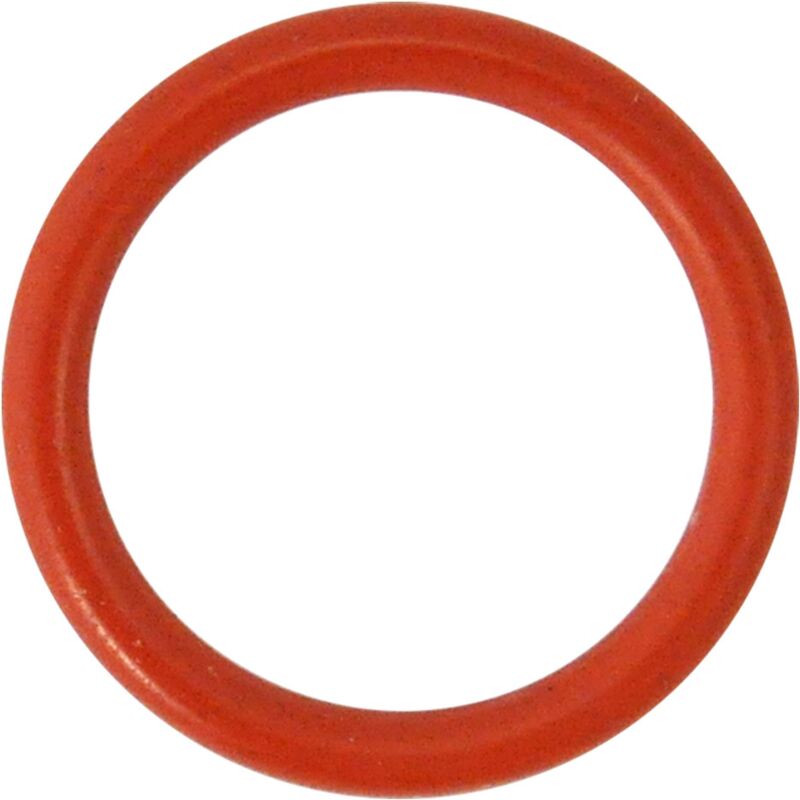Guarnizione O-Ring per perno No5 spremipomodoro in...