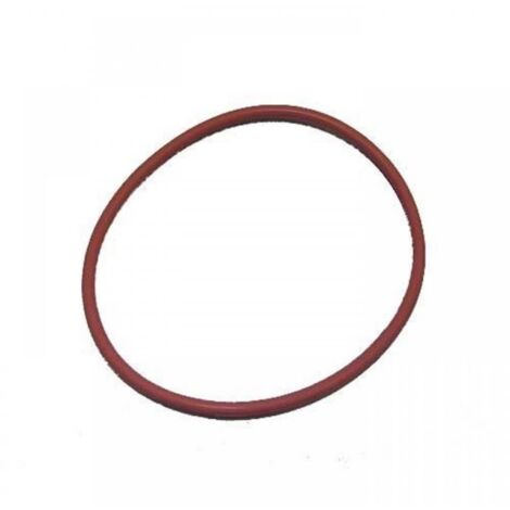 GUARNIZIONE ORING CALDAIA MACCHINA CAFFE DE LONGHI EC 190 200 220 410 ECO 310
