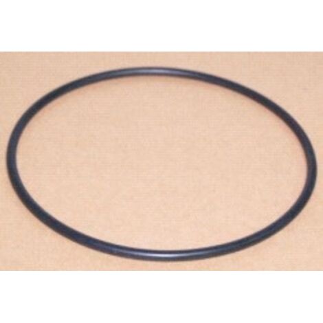 Guarnizione per clorinatore Intex
