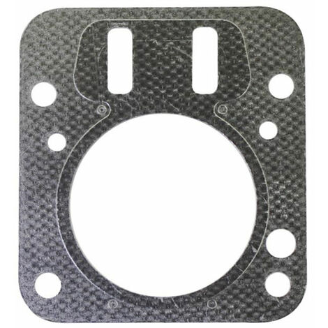 Guarnizione testa BRIGGS &ampamp STRATTON -698210