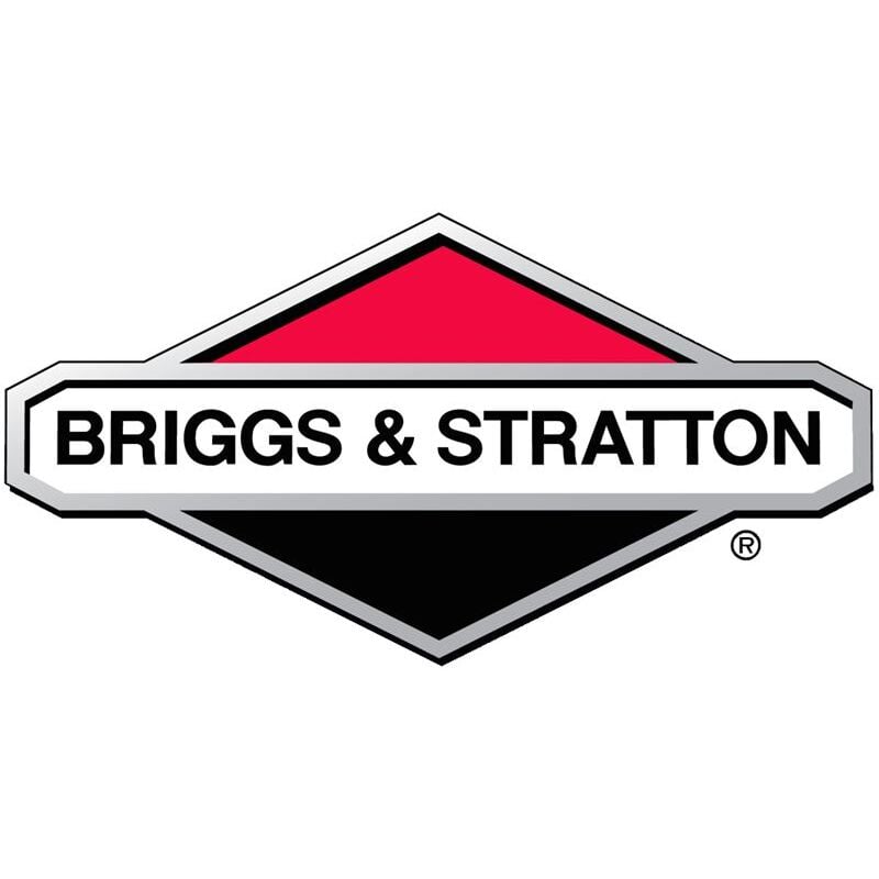 Briggs&stratton - Guarnizione Briggs e Stratton - 272167