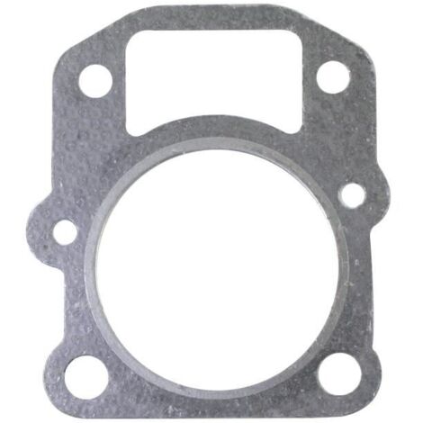 Guarnizione testa motore rasaerba tagliaerba tosaerba T100 NGP V6-10-001-000
