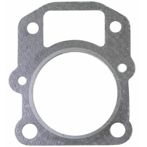 Guarnizione testa motore rasaerba tagliaerba tosaerba T100 NGP V6-10-001-000