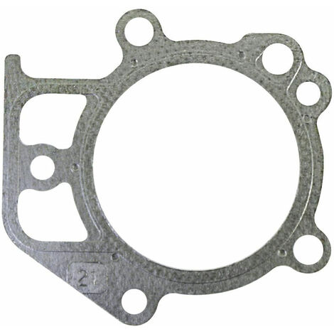 Guarnizione testa Motori da spazzaneve 21M114, 21M314 -320365