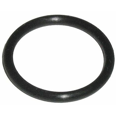 Guarnizione torica originale - Accessori e prodotti - SAECO - 433641