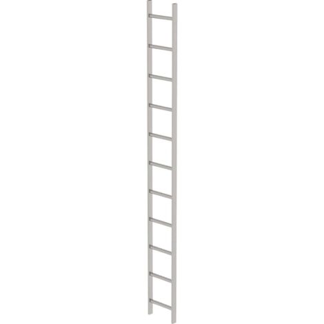 Günzburger Steigtechnik Echelle de cuvette acier inoxydable V4A 300 mm de largeur intérieure 11 échelons - 062011