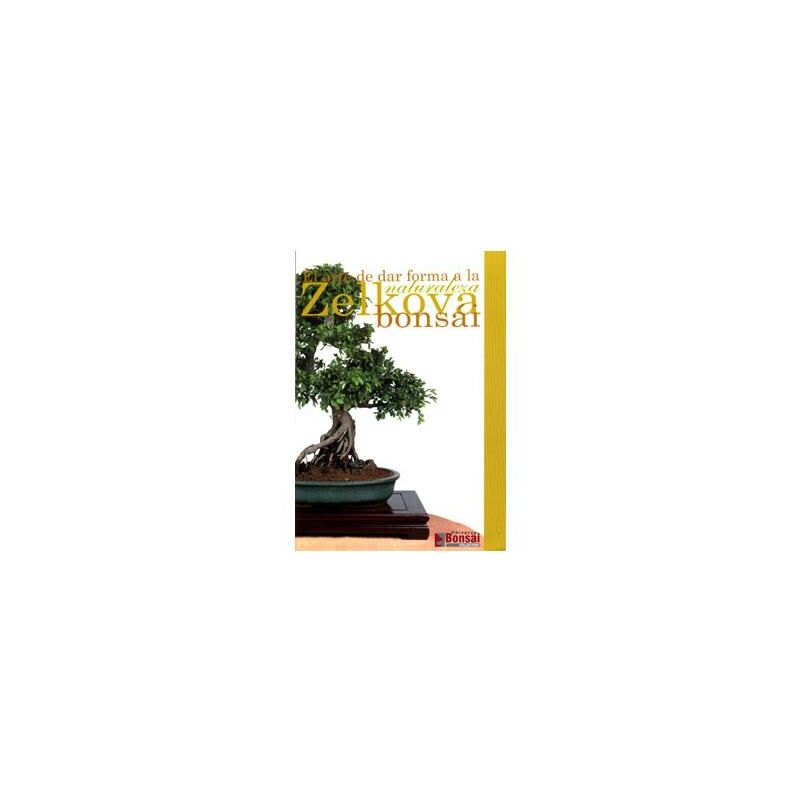 

Guía Zelkova Bonsái
