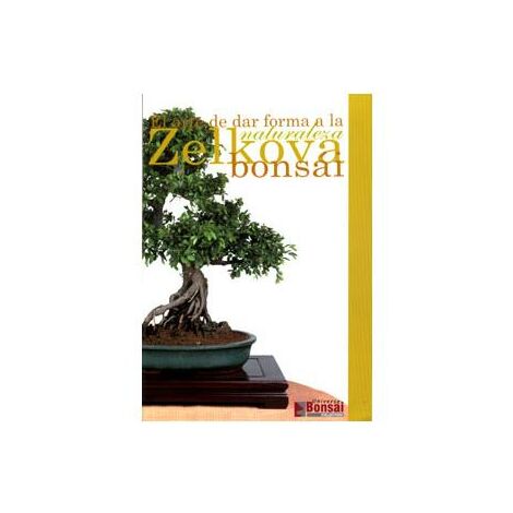 Guía Zelkova Bonsái