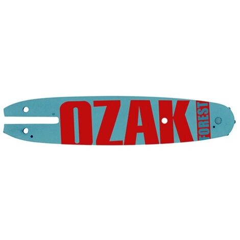 Guide Ozaki Pro Steel ( Echo - Ryobi ) Coupe 10 - 25cm. Empreinte C Pas 3/8 Lp .050 (1,3mm). Adaptable Sur Ryobi. Remplace Origi
