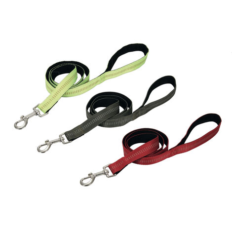 Guinzaglio Con Moschettone Per Animali Domestici Modello Color Doggy 120cm, misura120cmcoloreRosso