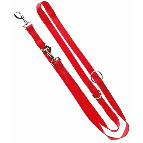 Guinzaglio da addestramento in nylon per cani: 2,5 x 200 cm - Rosa