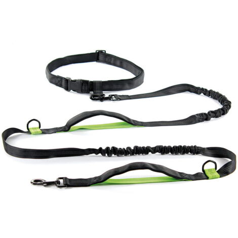 Guinzaglio Jogging in nylon con estensore elastico per cani