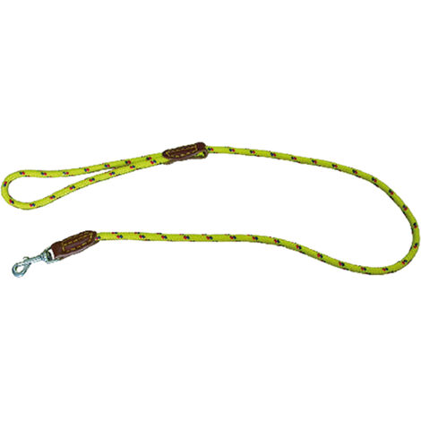 Guinzaglio Per Cani 15 Metri - Catena In Acciaio &Phi;5mm Con Molla E Gancio, Antigroviglio, Per Corsa E Campeggio