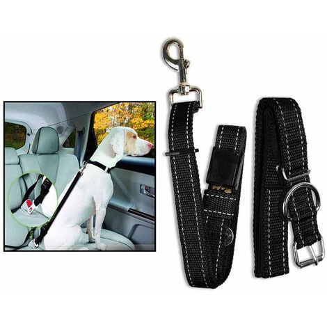 Gancio cintura sicurezza auto – Cernitalia S.r.l. – e-shop