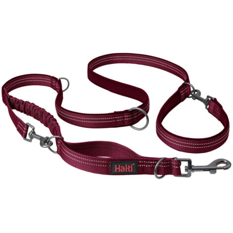 Guinzaglio per Cani Company of Animals Bordeaux S