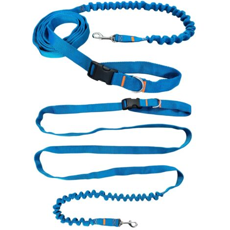 Guinzaglio per cani con ammortizzatore 280cm TURCHESE Regolabile Sportivo