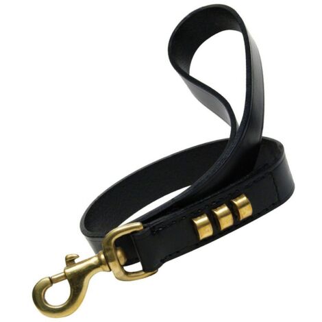 Guinzaglio per Cani Gloria Duna 2,5 x 60 cm Nero