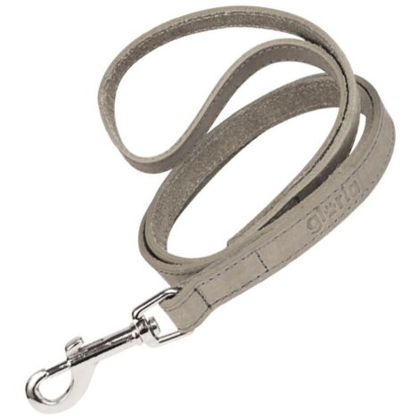 Guinzaglio per Cani Gloria Oasis 2.1 x 100 cm Bianco