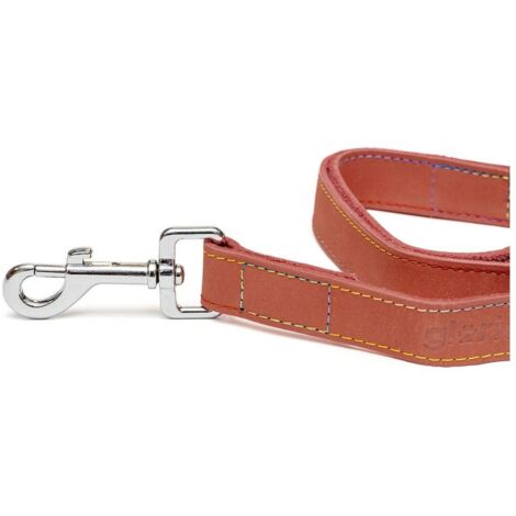 Guinzaglio per Cani Gloria Oasis 2.1 x 100 cm Rosso