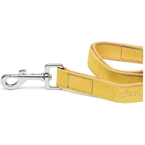 Guinzaglio per Cani Gloria Oasis 3 x 60 cm Giallo
