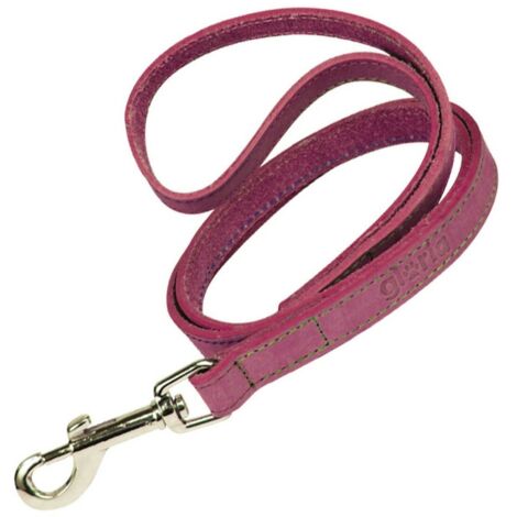 Guinzaglio per Cani Gloria Oasis 3 x 60 cm Rosa