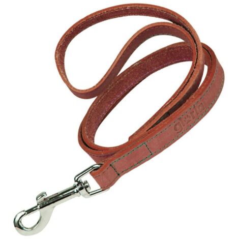 Guinzaglio per Cani Gloria Oasis 3 x 60 cm Rosso