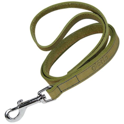 Guinzaglio per Cani Gloria Oasis 3 x 60 cm Verde
