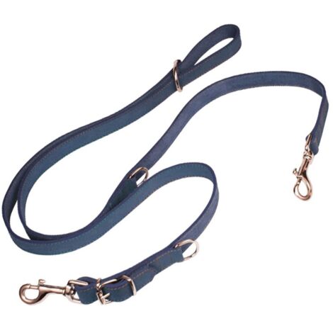 Guinzaglio per Cani Gloria Oasis Multiplo 2.1 x 200 cm Azzurro