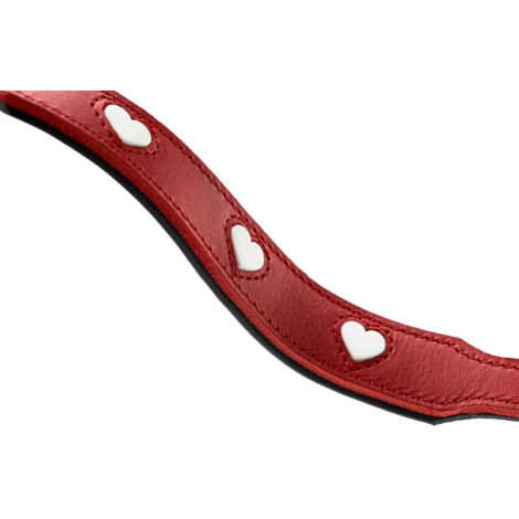 Guinzaglio per Cani Hunter Rosso 2 m Regolabile