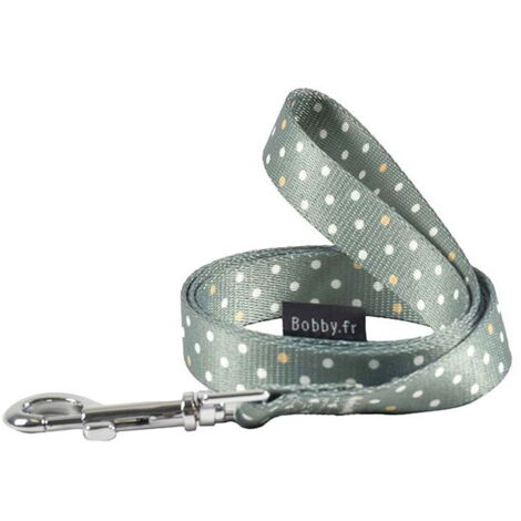 Guinzaglio verde 1,6 x 100 cm: Guinzaglio in nylon verde decorazioni a pois bianchi modello Pretty per cani