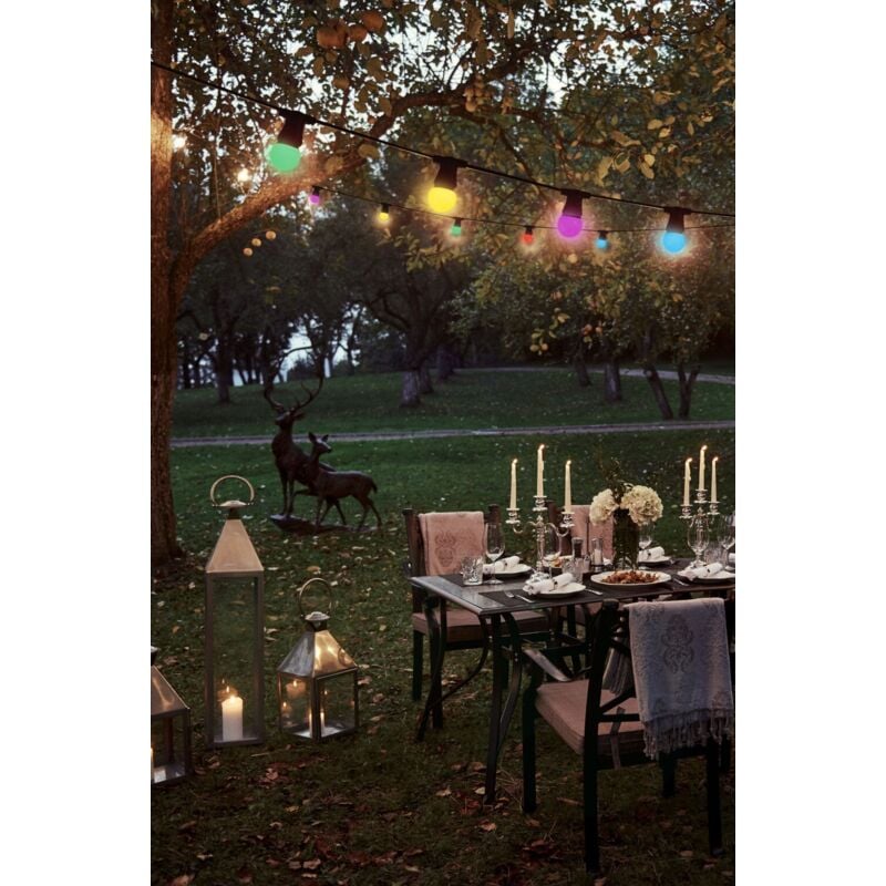 Guirlande extérieure 10 ampoules B22 multicolor 300 Lumens Pro 10m - Tibelec