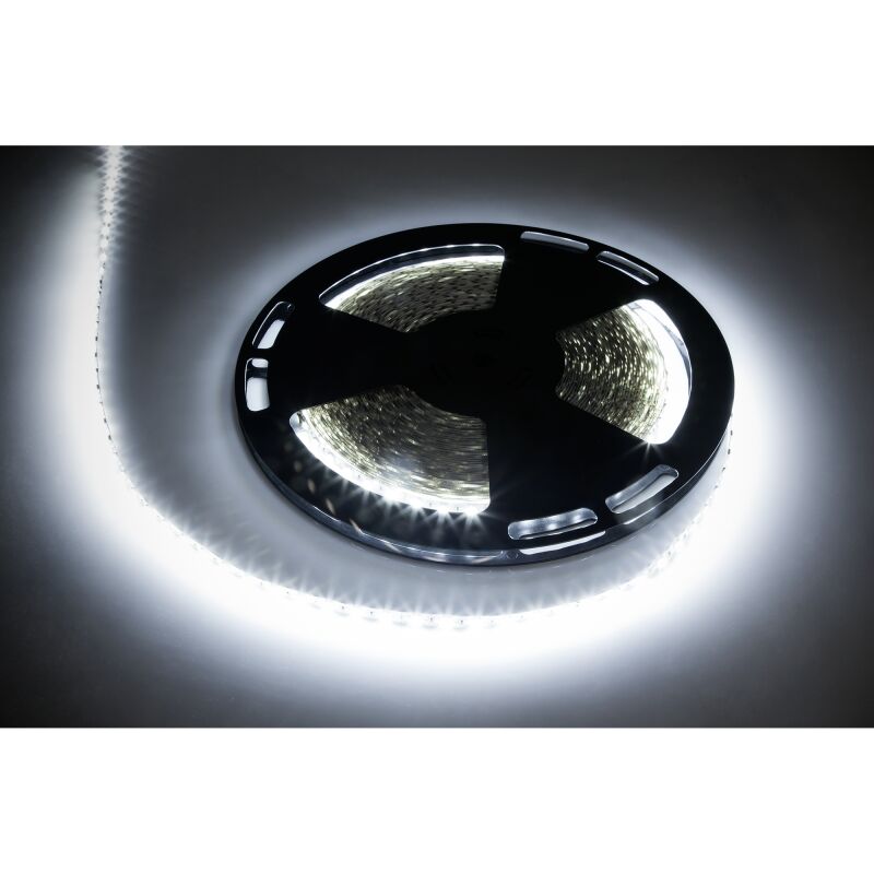 Bande LED 25 m blanc froid 5050SMD 12 V 5,6 W Rebel diode string
