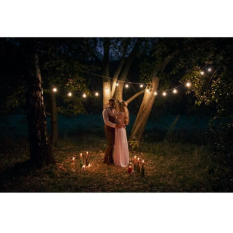 Guirlande lumineuse LED Link Me Light - 10 ampoules - douille E27 - blanc chaud - 5m