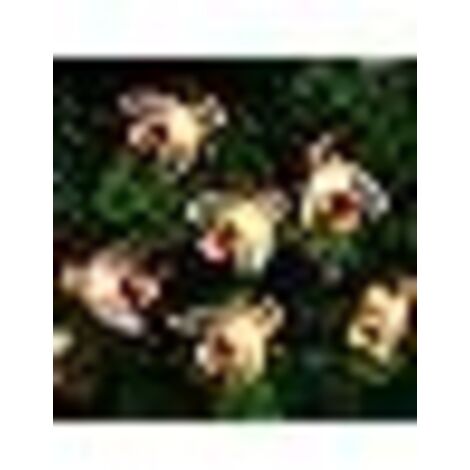 Guirlande Lumineuse Solaire 50 LED 7 Mètres Étanche pour Jardin, Terrasse, Clôture, Fêtes et Décor Intérieur Extérieur Blanc Chaud