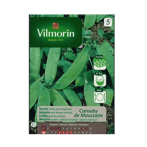 Guisante Samen von Enrame Caroube 125G Tirabeque