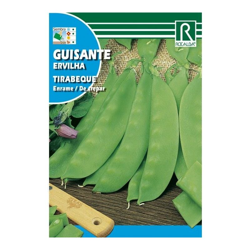 

GUISANTE TIRABEQUE 1 KG ENRAME - Rocalba