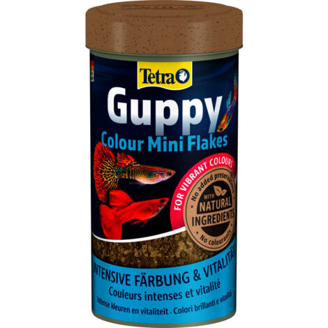 Guppy couleur mini flocons 75g - 250 ml Aliment pour les Guppies, platys, mollys, porte-épées - Tetra