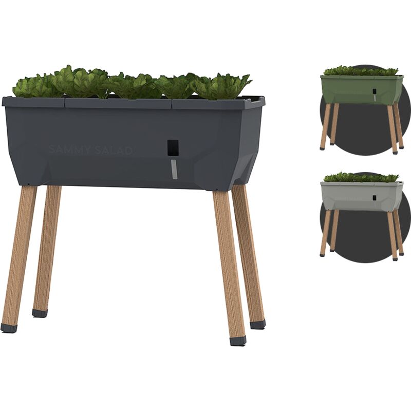 Gusta Garden - Sammy Salad - Pot à herbes intelligent avec réservoir d'eau de 15 L - Bac de culture - Bac à plantes - Anthracite - Anthracite