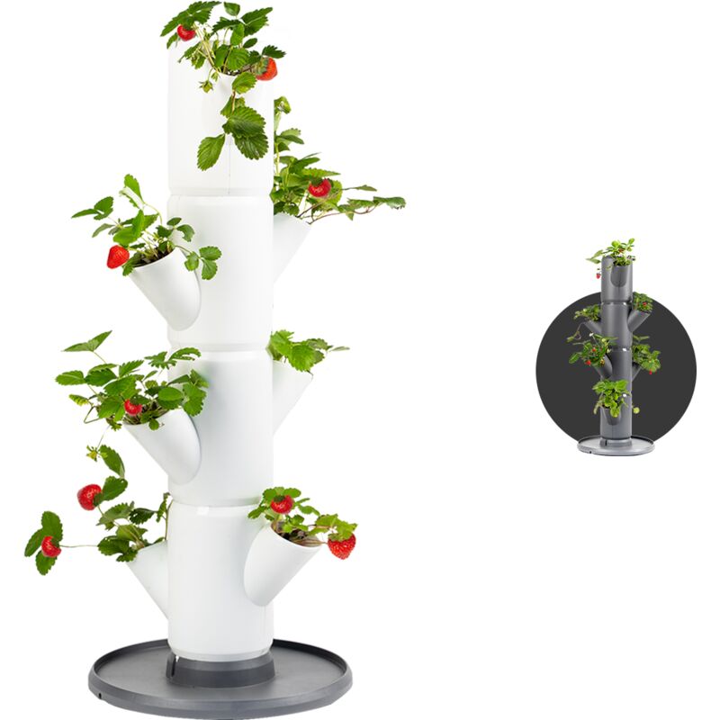 Gusta Garden - Sissy Strawberry - Plants de fraises - Sac de fraises - Bac de culture - Table de culture - Tour de plantes avec 4 niveaux - Blanc