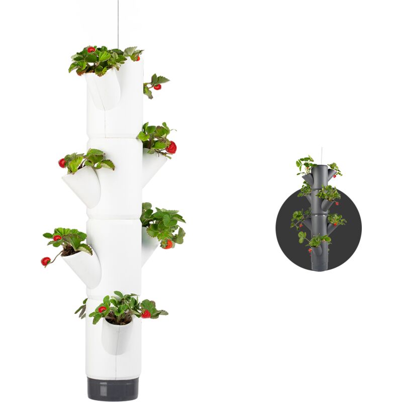 Gusta Garden - Sissy Strawberry - Plants de fraises - Sac de fraises - Bac de culture - Table de culture - Tour de plantes avec 4 niveaux - Suspendu